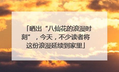 晒出“八仙花的浪漫时刻”，今天，不少读者将这份浪漫延续到家里