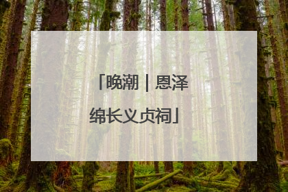 晚潮｜恩泽绵长义贞祠