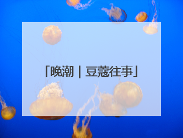 晚潮｜豆蔻往事