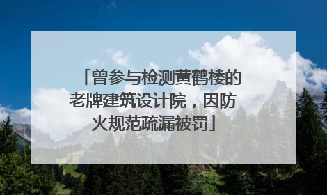 曾参与检测黄鹤楼的老牌建筑设计院，因防火规范疏漏被罚