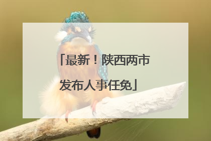 最新！陕西两市发布人事任免