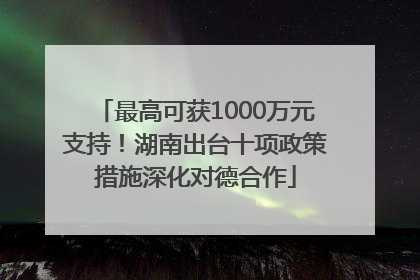 最高可获1000万元支持！湖南出台十项政策措施深化对德合作