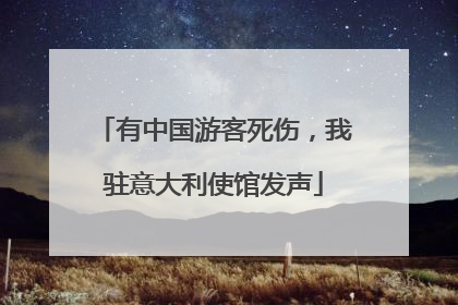有中国游客死伤，我驻意大利使馆发声