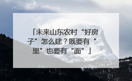 未来山东农村“好房子”怎么建？既要有“里”也要有“面”
