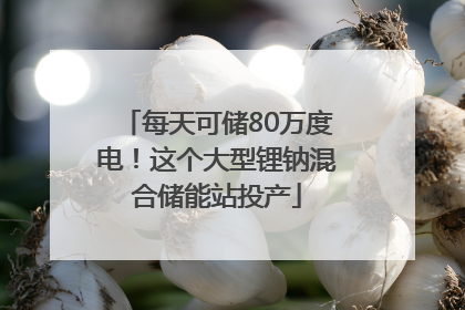 每天可储80万度电！这个大型锂钠混合储能站投产