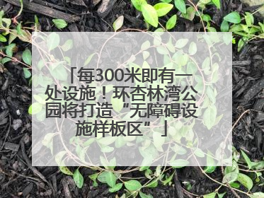 每300米即有一处设施！环杏林湾公园将打造“无障碍设施样板区”