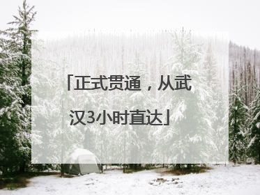 正式贯通，从武汉3小时直达