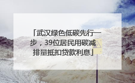 武汉绿色低碳先行一步，39位居民用碳减排量抵扣贷款利息