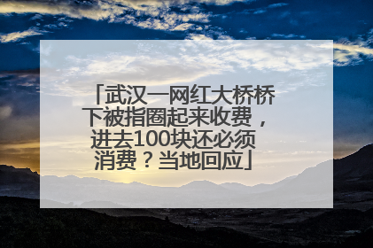 武汉一网红大桥桥下被指圈起来收费，进去100块还必须消费？当地回应