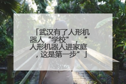 武汉有了人形机器人“学校”，“人形机器人进家庭，这是第一步”