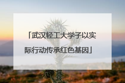 武汉轻工大学子以实际行动传承红色基因