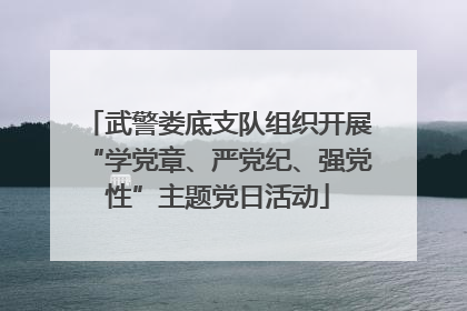 武警娄底支队组织开展“学党章、严党纪、强党性”主题党日活动