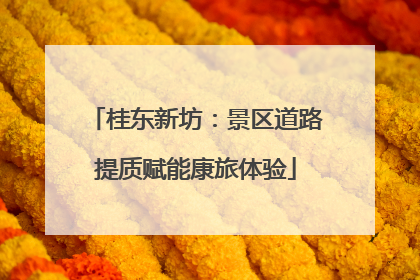桂东新坊：景区道路提质赋能康旅体验