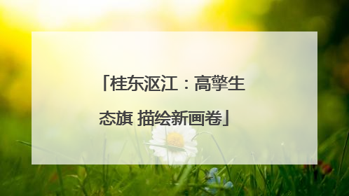 桂东沤江：高擎生态旗 描绘新画卷