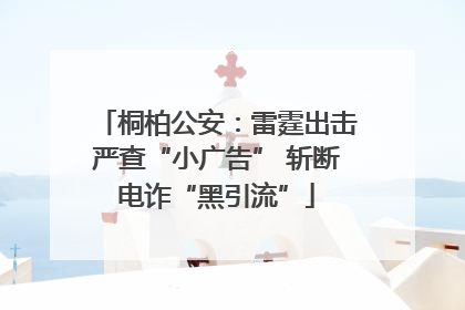桐柏公安：雷霆出击严查“小广告” 斩断电诈“黑引流”