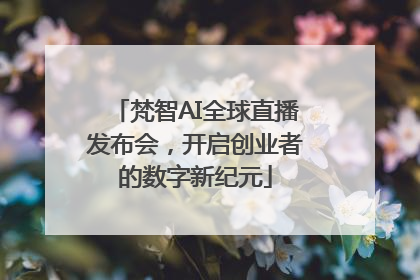 梵智AI全球直播发布会，开启创业者的数字新纪元