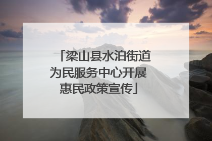 梁山县水泊街道为民服务中心开展惠民政策宣传