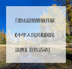 梁山县馆驿镇开展《中华人民共和国民法典》宣传活动