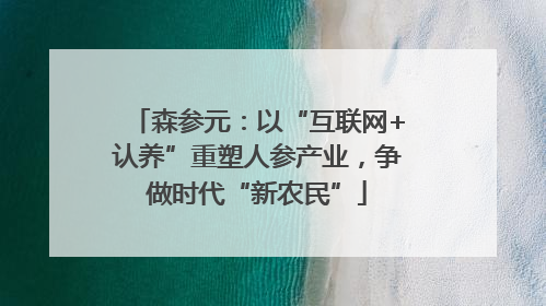 森参元：以“互联网+认养”重塑人参产业，争做时代“新农民”