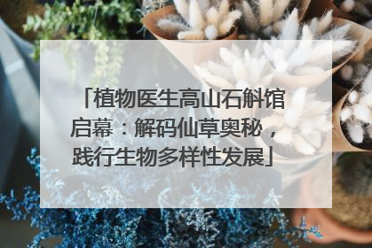 植物医生高山石斛馆启幕：解码仙草奥秘，践行生物多样性发展
