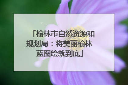 榆林市自然资源和规划局：将美丽榆林蓝图绘就到底