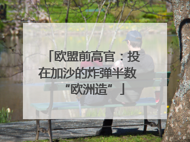 欧盟前高官：投在加沙的炸弹半数“欧洲造”