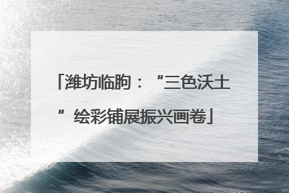 潍坊临朐：“三色沃土”绘彩铺展振兴画卷
