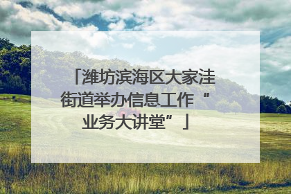 潍坊滨海区大家洼街道举办信息工作“业务大讲堂”
