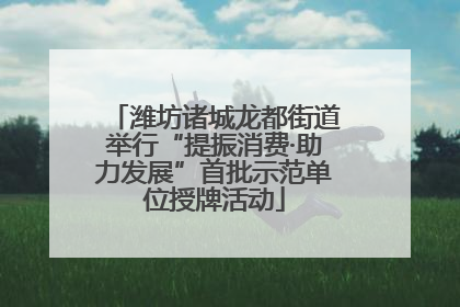 潍坊诸城龙都街道举行“提振消费·助力发展”首批示范单位授牌活动