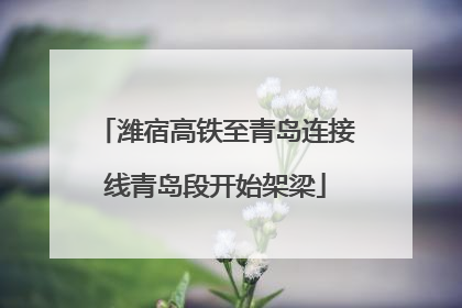 潍宿高铁至青岛连接线青岛段开始架梁