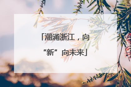 潮涌浙江，向“新”向未来