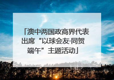 澳中两国政商界代表出席“以球会友·同贺端午”主题活动