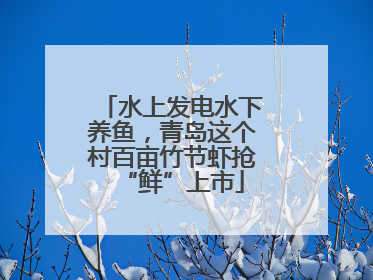 水上发电水下养鱼，青岛这个村百亩竹节虾抢“鲜”上市