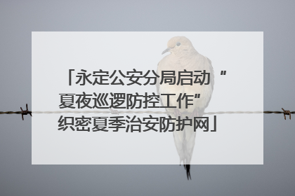 永定公安分局启动“夏夜巡逻防控工作” 织密夏季治安防护网