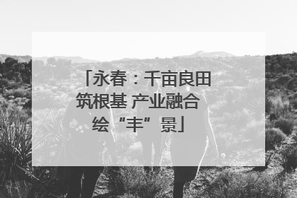 永春：千亩良田筑根基 产业融合绘“丰”景