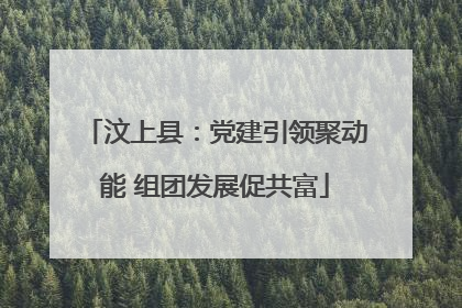 汶上县：党建引领聚动能 组团发展促共富