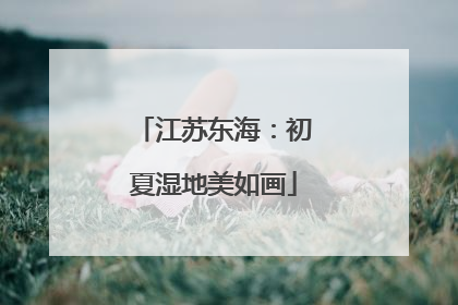 江苏东海：初夏湿地美如画