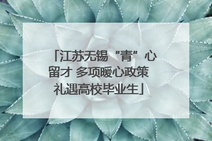 江苏无锡“青”心留才 多项暖心政策礼遇高校毕业生