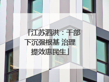 江苏泗洪：干部下沉强根基 治理提效惠民生