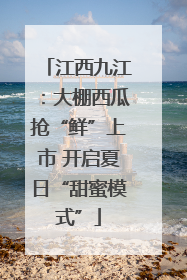 江西九江：大棚西瓜抢“鲜”上市 开启夏日“甜蜜模式”
