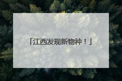 江西发现新物种！