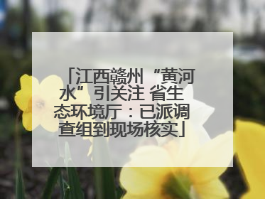 江西赣州“黄河水”引关注 省生态环境厅：已派调查组到现场核实