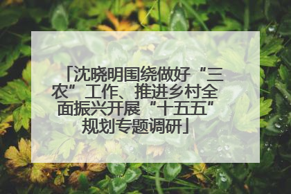 沈晓明围绕做好“三农”工作、推进乡村全面振兴开展“十五五”规划专题调研