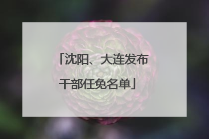 沈阳、大连发布干部任免名单