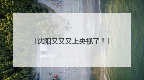 沈阳又又又上央视了！