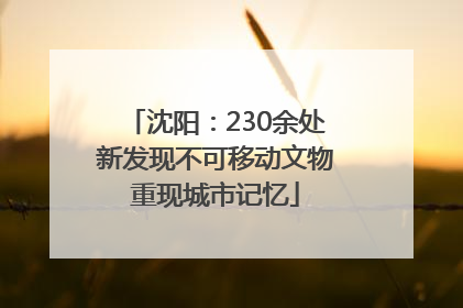 沈阳：230余处新发现不可移动文物重现城市记忆