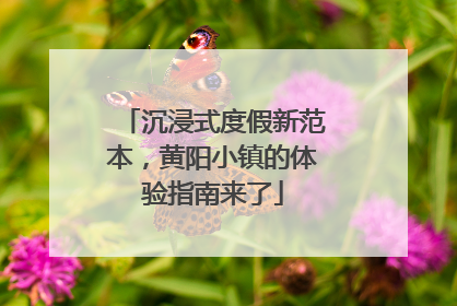 沉浸式度假新范本，黄阳小镇的体验指南来了