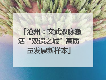 沧州：文武双脉激活“双遗之城”高质量发展新样本
