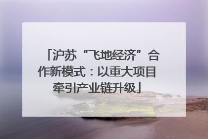 沪苏“飞地经济”合作新模式：以重大项目牵引产业链升级