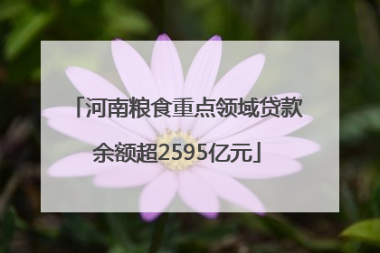 河南粮食重点领域贷款余额超2595亿元